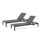 Outdoor Patio Chaise Lounge with 5 Reclining Positions