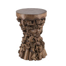 Brown Mulberry and Paulownia Wood Accent Table with Organic Tree Root Base