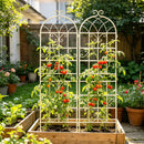 Metal Garden Rustproof Trellis For Climbing Plants Outdoor Flower Support