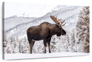 Snowy Moose Wall Art