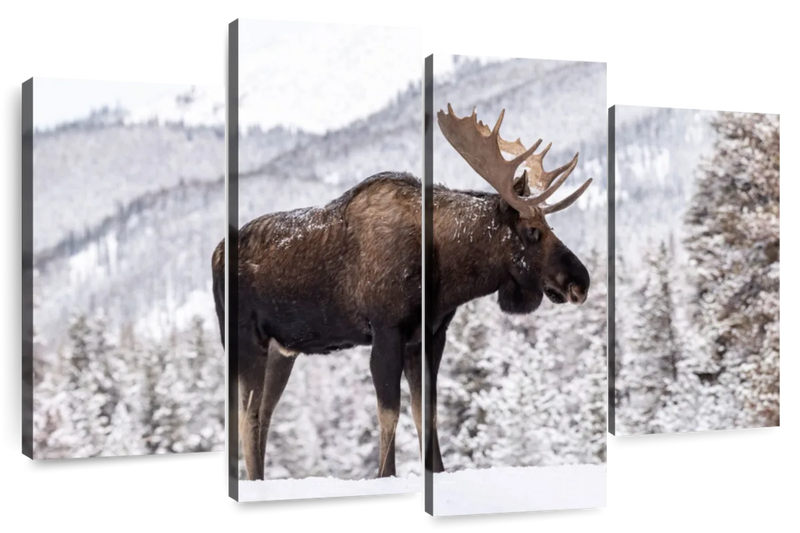 Snowy Moose Wall Art