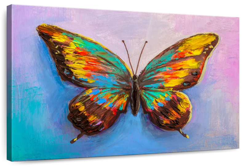 Multicolored Butterfly Wall Art