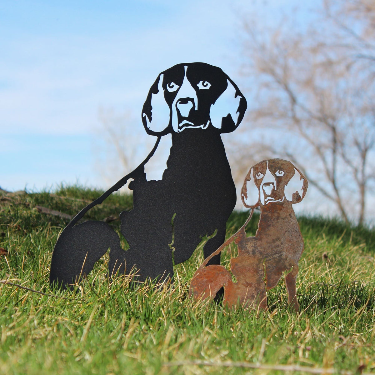 Beagle, photo 5 of 17