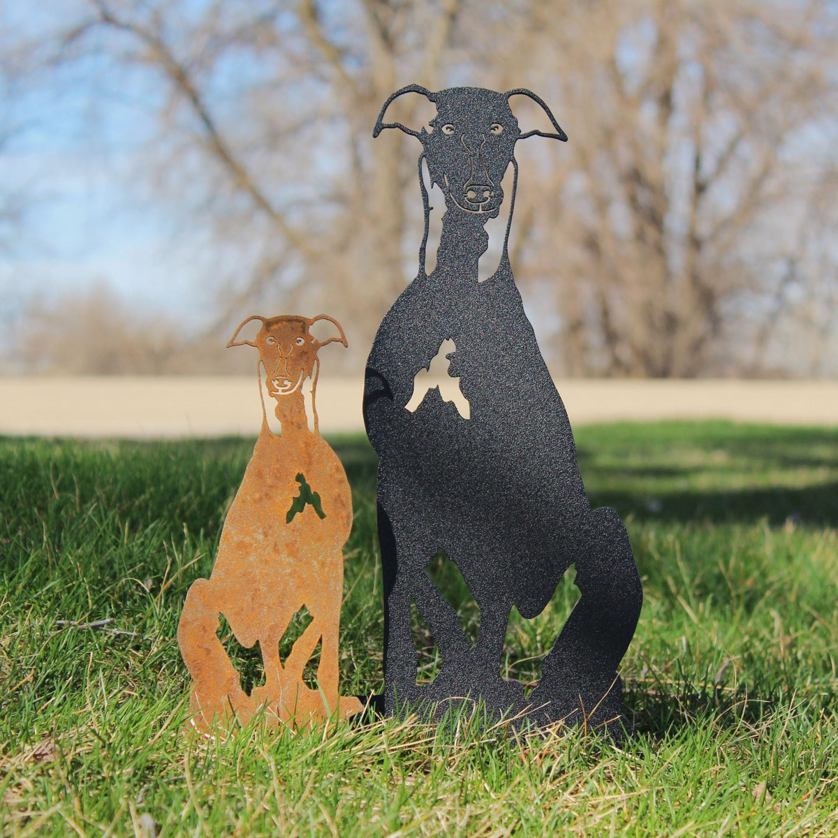 Greyhound, photo 5 of 14