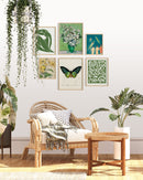 Green gallery wall