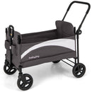 2-Seat Stroller Wagon with Adjustable Canopy and Handles
