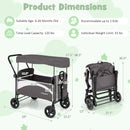 2-Seat Stroller Wagon with Adjustable Canopy and Handles