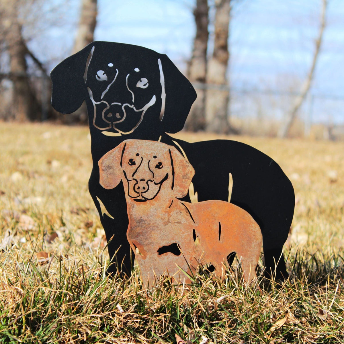 Dachshund - Shorthaired, photo 5 of 17