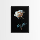Still Life Photograph of a White Rose, Framed Canvas Print, Rose Painting, Rose Decor, Rose Wall Art, Mother's Day Gift Idea, Flower Wall Art