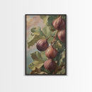 Figs On The Vine Framed Canvas Print - Kitchen Wall Art - Figs Painting