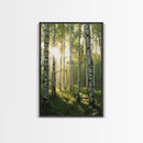 Morning Sunlight Birch Tree Art Canvas Print Natural Landscape Gift Rustic Farmhouse Vertical Artwork Home Decor Above Bed