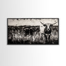 Texas Longhorn, Rustic Farmhouse, Black and White Western Art, Framed Canvas Print, Country Home Decor, Rustic Living Room Wall Art