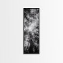 Forest Canopy, Nature Perspective, Tranquil Trees, Black and White, Framed Canvas Print, Cabin Wall Art, Scandinavian Decor, Minimalist Style