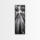 Redwood Forest, Sunlight Trees, Nature Canopy, Canvas Print, Serene Woodland Art, Cabin Wall Decor, Black and White Forest Art, Bedroom Wall Art