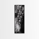 Tide Pool Life, Sea Creatures, Textured Nature, Ocean Details, Shell Art, Framed Canvas Print, Bathroom Wall Art, Coastal Boho Vibes