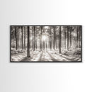 Winter Pine Forest, Sunlight Snow Trees, Nature Landscape Photography, Framed Canvas Print, Cabin Decor, Minimalist Wall Art
