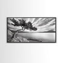 Tree Horizon, Curved Pine, Coastal Calm, Zen Scene, Canvas Print, Living Room Wall Art, Wabi Sabi Decor, Natural Minimal Aesthetic