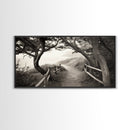 Ocean Cliff Path, Framed Trail Trees, Coastal Escape Scene, Framed Canvas Print, Boho Bedroom or Peaceful Hallway Wall Art, Entryway Accent