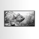 Underwater Fish, Nature Photography, Lake Life Scene, Freshwater Animal, Framed Canvas Print, Bathroom Wall Art, Minimalist Decor