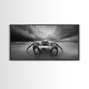 Fierce Crab, Coastal Storm, Ocean Mood, Dramatic Shore, Framed Canvas Print, Bathroom Wall Art, Beach House Decor, Marine Photography
