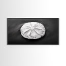 Sand Dollar, Beach Detail, Minimalist Sea, Calm Nature, Framed Canvas Print, Bathroom Wall Art, Coastal Boho Decor, Ocean Zen Style