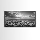 Flower Beach Shore, Coastal Blossoms, Pebble Flower Scene, Nature Bloom Decor, Canvas Print, Living Room Wall Art, Boho Art