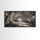 Tree Tunnel Trail, Light Dappled Path, Forest Archway Scene, Framed Canvas Print, Hallway Wall Art, Boho Natural Decor, Living Room Wall Art
