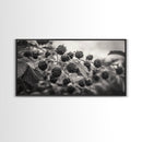 Blackberries on Vine, Farmhouse Kitchen Art, Rustic Fruit Wall Decor, Country Style, Autumn Botanical Photography, Canvas Print