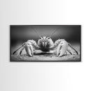 Hermit Crab, Close-Up, Ocean Creature, Monochrome Nature, Framed Canvas Print, Marine Wall Decor, Coastal Kitchen Wall Art, Entryway Accent