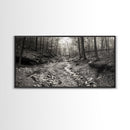 Forest Stream, Tranquil Woodland Path, Autumn Nature Photography, Framed Canvas Print, Rustic Cabin Decor, Living Room Wall Art