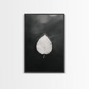 Floating Leaf, Still Water, Nature Simplicity, Autumn Calm, Canvas Print, Minimalist Wall Art, Bathroom Decor, Scandinavian Fall Style