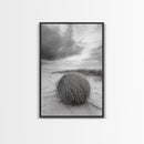 Tumbleweed Dune, Windy Coast, Desert Beach, Canvas Print, Boho Wall Art, Autumn Nature Decor, Minimalist Western Photography