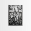 Lupine Flower Field, Bold Floral, Spring Nature Scene, Framed Canvas Print, Boho Living Room Art, Botanical Wall Decor