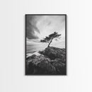 Lone Tree, Cliffside Ocean, Windy Coast Art, Framed Canvas Print, Bedroom Wall Art, Modern Nature Photography, Coastal Minimalist Decor