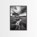 Solitary Tree, Storm Sky, Tranquil Meadow, Nature Landscape, Framed Canvas Print, Rustic Decor, Fall Wall Art, Bedroom Minimalist Art