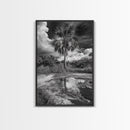 Tropical Palm, Reflected Sky, Nature Tranquility, Canvas Print, boho wall decor, bathroom art, tropical reflection photography