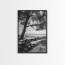 Seaside Bench, Peaceful Escape, Shaded Picnic, Canvas Print, nature photography, coastal wall art, relaxing ocean decor, Minimalist Decor