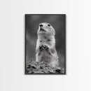 Prairie Dog, Wildlife Watch, Nature Moment, Framed Canvas Print, Whimsical Animal Wall Art, Nursery Decor, Cute Forest Creature