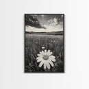 Wildflower Field, Daisy Bloom, Summer Meadow, Framed Canvas Print, Boho Botanical Wall Art, Bedroom Decor, Earthy Nature Photography