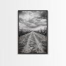 Vineyard Rows, Cloudy Skies, Countryside Path, Canvas Print, Farmhouse Wall Art, Kitchen or Dining Decor, Rustic Landscape Photo