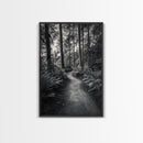 Fern Pathway, Enchanted Forest, Woodland Trail, Framed Canvas Print, Nature Walk Wall Art, Boho Bedroom Decor, Moody Landscape Style