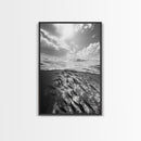 Underwater Scene, School of Fish, Ocean Photography, Split Shot Water, Framed Canvas Print, Bathroom Wall Art, Coastal Decor