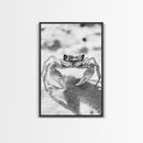 Sand Crab, Beach Macro, Ocean Critter Art, Framed Canvas Print, Coastal Bathroom Decor, Beach House Wall Art, Nature Close-Up