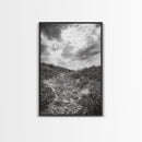 Sandy Trail, Ocean Path, Windy Grass, Moody Sky, Framed Canvas Print, coastal nature photography, hallway decor, rustic neutral art