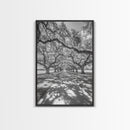 Oak Tree Tunnel, Southern Charm, Shaded Pathway, Timeless Trees Framed Canvas Print, farmhouse wall decor, hallway landscape art