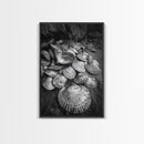 Seashell Pile, Textured Beach, Coastal Treasures, Natural Beauty Framed Canvas Print, bathroom decor, shell art, beach wall style