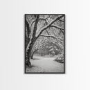 Snowfall Trees, Winter Forest, Nature Pathway, Canvas Print, Holiday Season Decor, Cozy Living Room or Cabin Wall Art