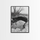 Reflected Trees Pool, Black White Nature, Moody Autumn Wall Art, Rustic Minimalist Style, Framed Canvas Print, Entryway Home Decor