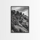 Hillside Forest, Peaceful Pines, Mountain Light, Framed Canvas Print, Nature Wall Art, Cabin Decor, Woodland Landscape Scene