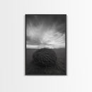 Twilight Field Nest, Tumbleweed Art, Desert Calm, Grassy Plains, Framed Canvas Print, Entryway Wall Art, Boho Nature Landscape